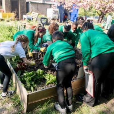 Forest Schools and Gardening